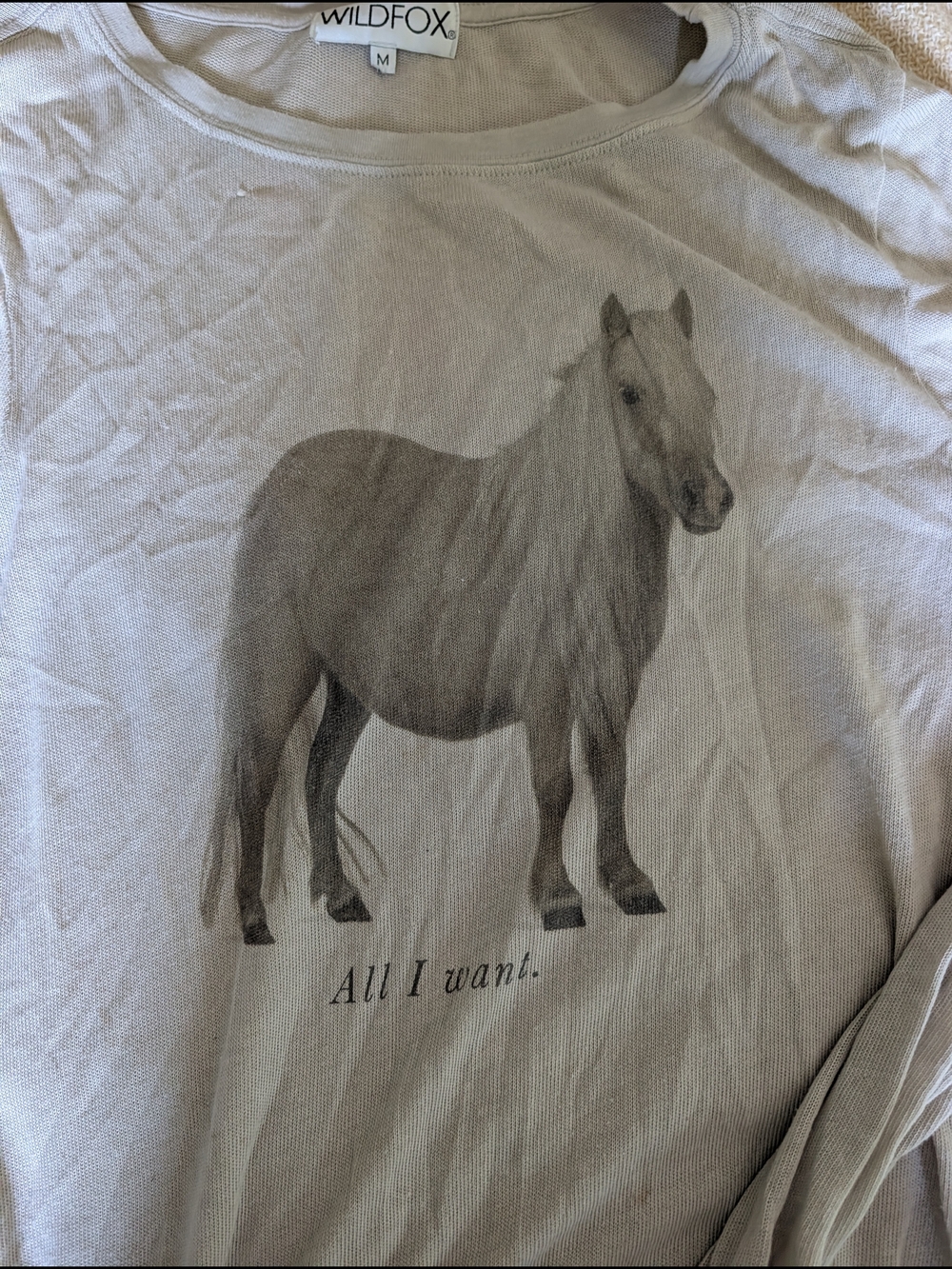 Wildfox 'All I Want' Horse Graphic Tee in Light Beige